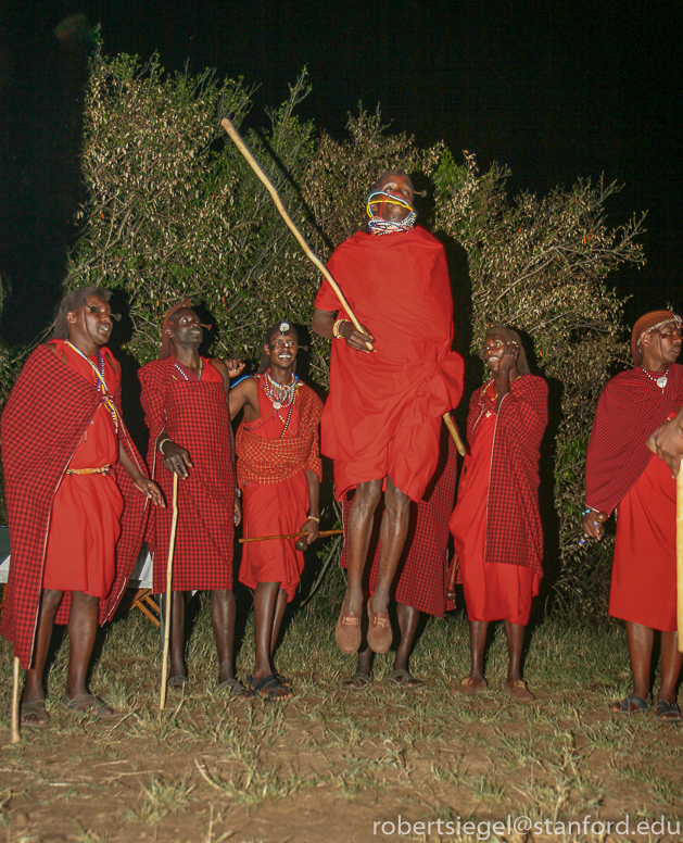 masai mara